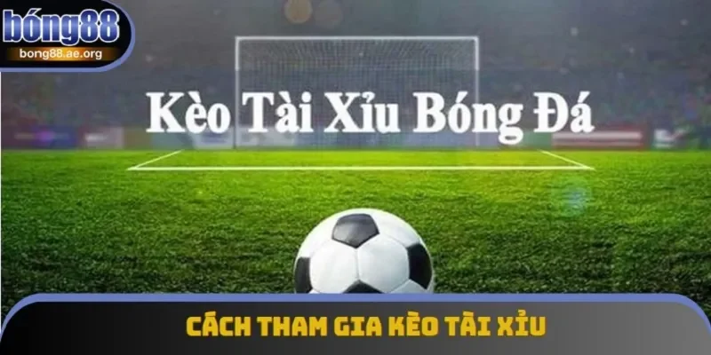 Người chơi không cần quan tâm bên nào sẽ thắng