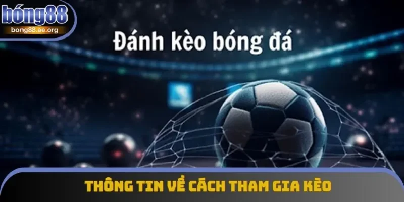 Khám phá cách tham gia kèo chính xác và cụ thể nhất