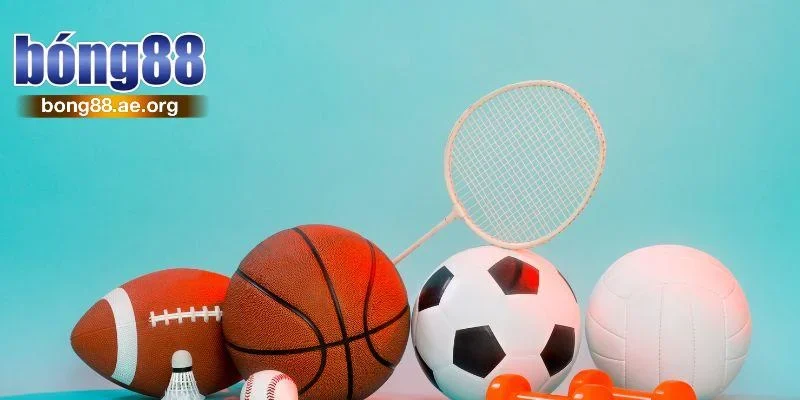 Tổng hợp tiêu chí lựa chọn đối tác thể thao Bong88